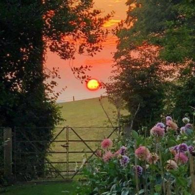 全民彩票下载手机版