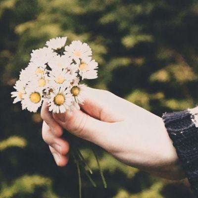 云开平台app最新版手机app下载