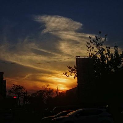 金星棋牌app下载