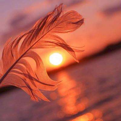 南宫体育app下载安装app下载