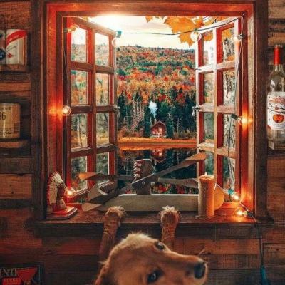 南宫28app下载截图