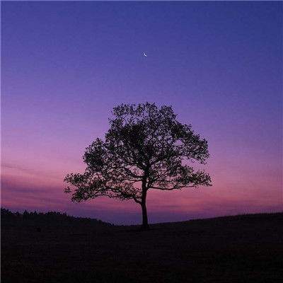 米博体育官方网站入口