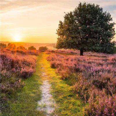 爱游戏·体育APP