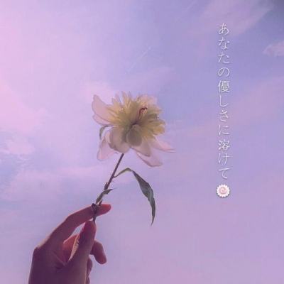 半岛综合体育APP